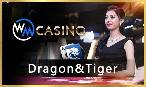 Esports betting support and contact